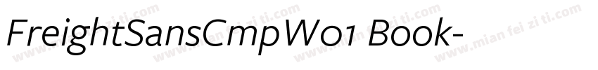 FreightSansCmpW01 Book字体转换